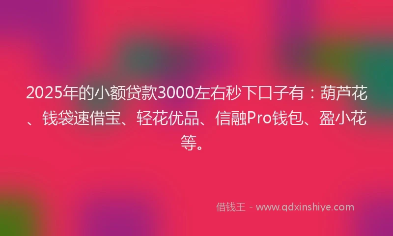 2025年的小额贷款3000左右秒下口子有：葫芦花、钱袋速借宝、轻花优品、信融Pro钱包、盈小花等。