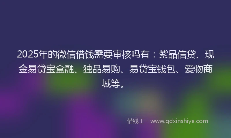 2025年的微信借钱需要审核吗有：紫晶信贷、现金易贷宝盒融、独品易购、易贷宝钱包、爱物商城等。