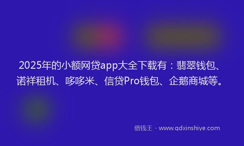 2025年的小额网贷app大全下载有：翡翠钱包、诺祥租机、哆哆米、信贷Pro钱包、企鹅商城等。