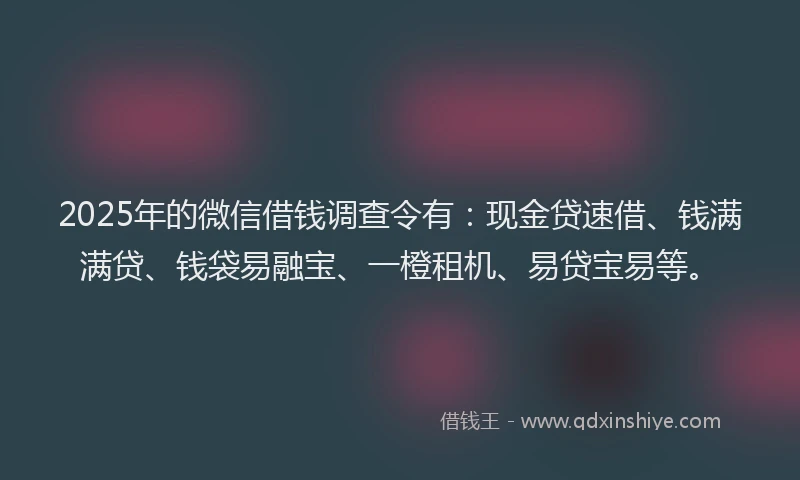 2025年的微信借钱调查令有：现金贷速借、钱满满贷、钱袋易融宝、一橙租机、易贷宝易等。