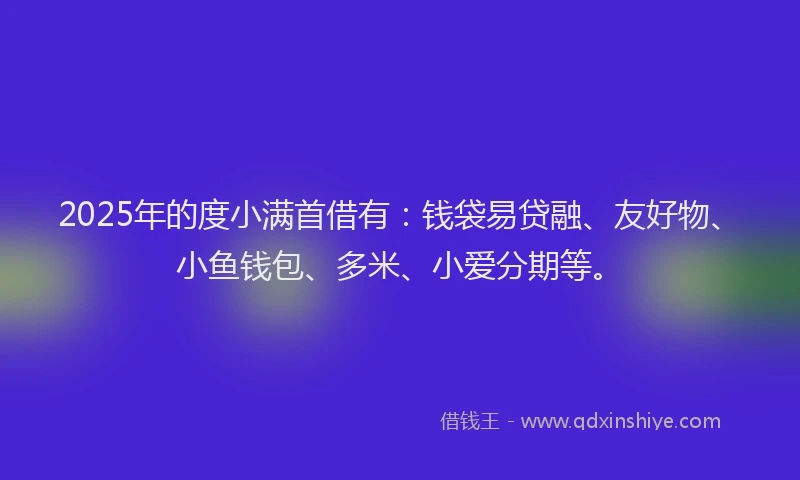 2025年的度小满首借有：钱袋易贷融、友好物、小鱼钱包、多米、小爱分期等。
