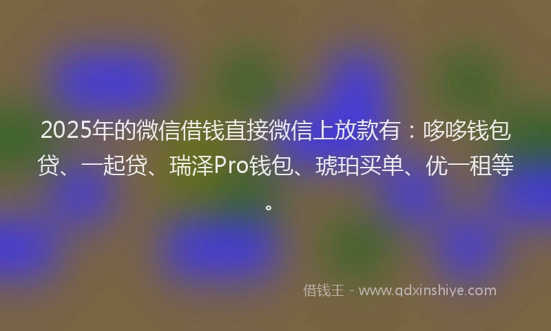 2025年的微信借钱直接微信上放款有：哆哆钱包贷、一起贷、瑞泽Pro钱包、琥珀买单、优一租等。
