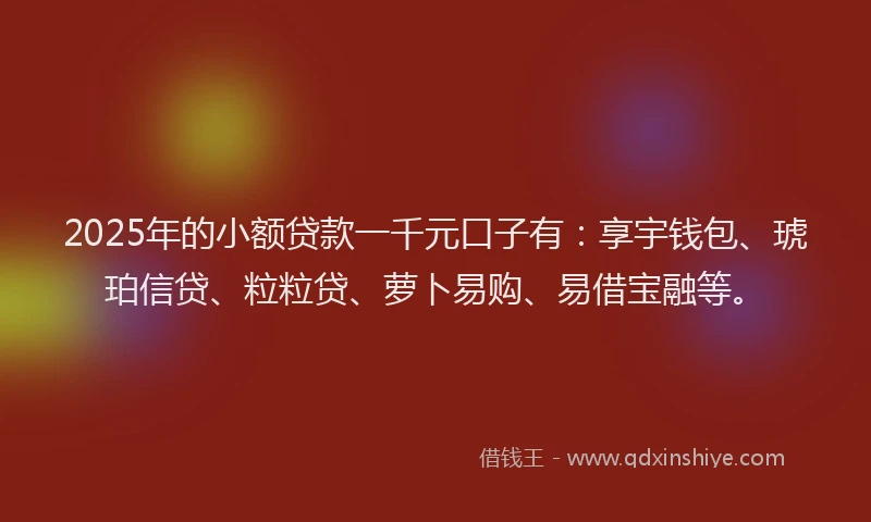 2025年的小额贷款一千元口子有：享宇钱包、琥珀信贷、粒粒贷、萝卜易购、易借宝融等。