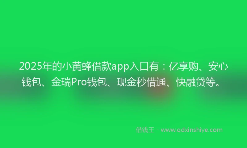 2025年的小黄蜂借款app入口有：亿享购、安心钱包、金瑞Pro钱包、现金秒借通、快融贷等。