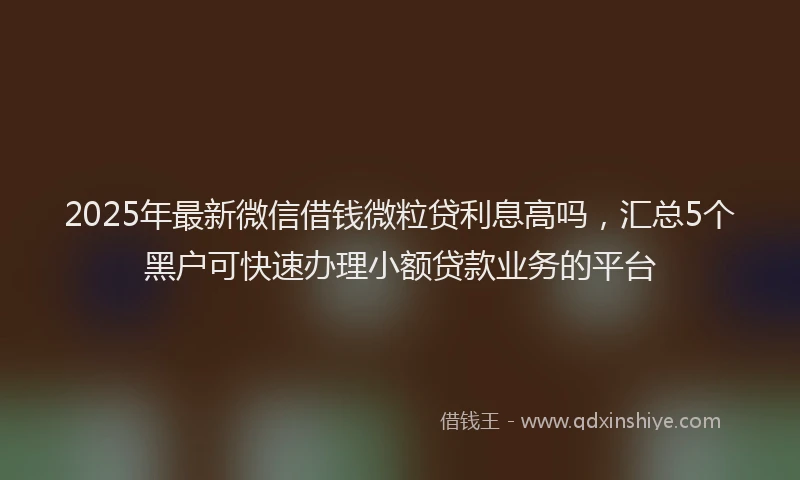 2025年最新微信借钱微粒贷利息高吗，汇总5个黑户可快速办理小额贷款业务的平台