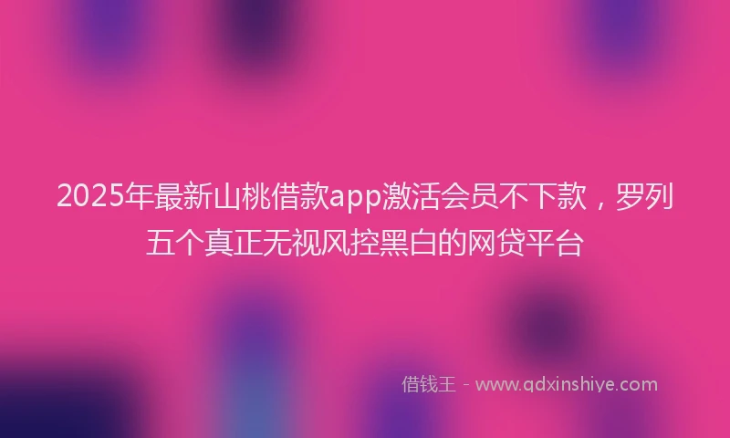2025年最新山桃借款app激活会员不下款，罗列五个真正无视风控黑白的网贷平台
