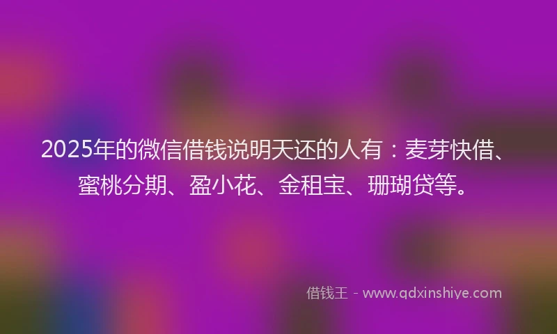 2025年的微信借钱说明天还的人有：麦芽快借、蜜桃分期、盈小花、金租宝、珊瑚贷等。