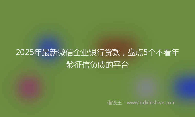 2025年最新微信企业银行贷款，盘点5个不看年龄征信负债的平台