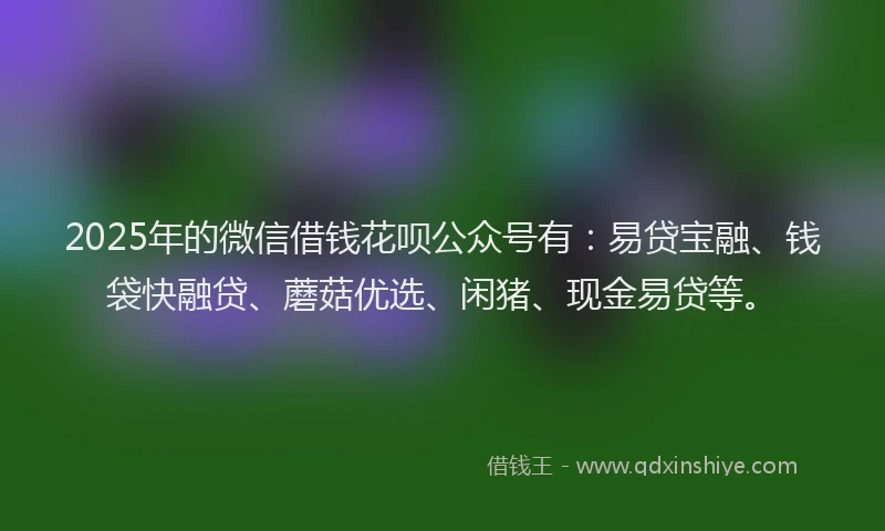 2025年的微信借钱花呗公众号有：易贷宝融、钱袋快融贷、蘑菇优选、闲猪、现金易贷等。