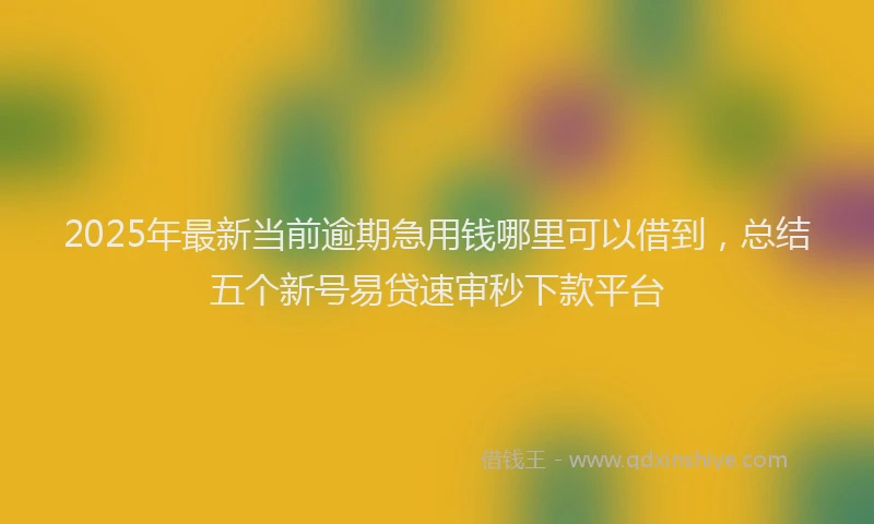 2025年最新当前逾期急用钱哪里可以借到，总结五个新号易贷速审秒下款平台