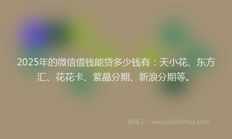2025年的微信借钱能贷多少钱有：天小花、东方汇、花花卡、紫晶分期、新浪分期等。