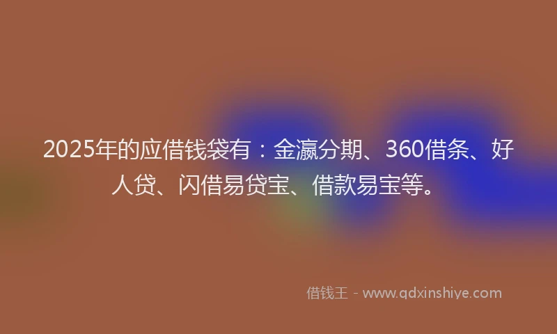 2025年的应借钱袋有：金瀛分期、360借条、好人贷、闪借易贷宝、借款易宝等。