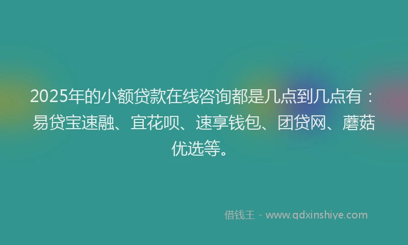 2025年的小额贷款在线咨询都是几点到几点有：易贷宝速融、宜花呗、速享钱包、团贷网、蘑菇优选等。