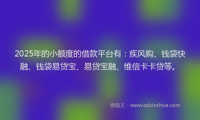 2025年的小额度的借款平台有：疾风购、钱袋快融、钱袋易贷宝、易贷宝融、维信卡卡贷等。