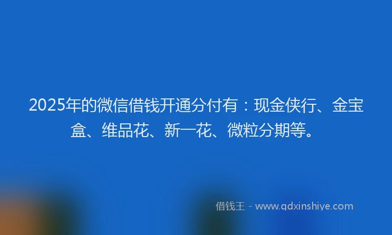 2025年的微信借钱开通分付有：现金侠行、金宝盒、维品花、新一花、微粒分期等。