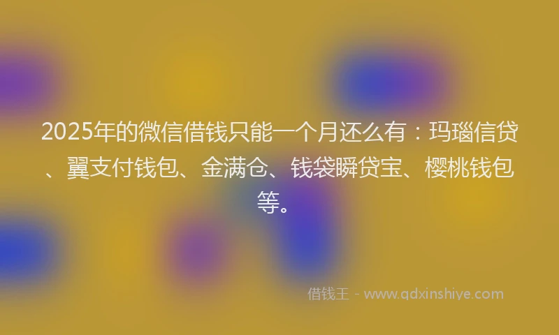 2025年的微信借钱只能一个月还么有：玛瑙信贷、翼支付钱包、金满仓、钱袋瞬贷宝、樱桃钱包等。