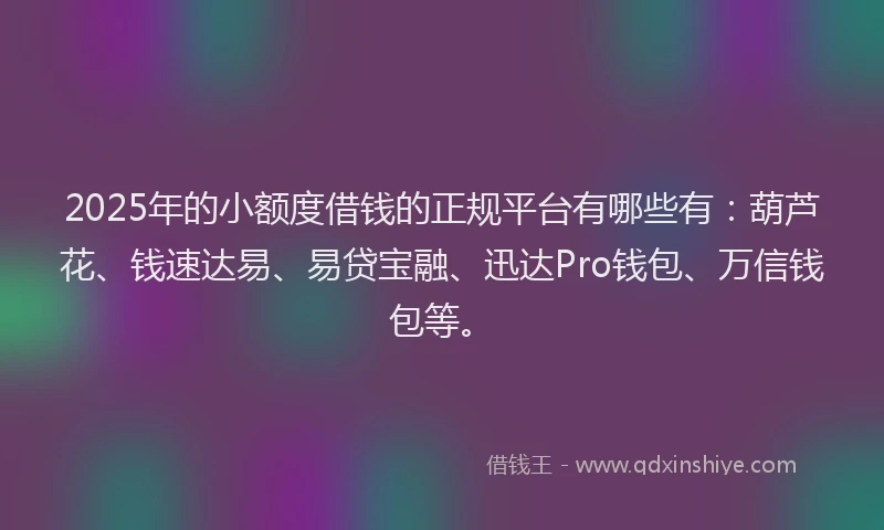 2025年的小额度借钱的正规平台有哪些有：葫芦花、钱速达易、易贷宝融、迅达Pro钱包、万信钱包等。