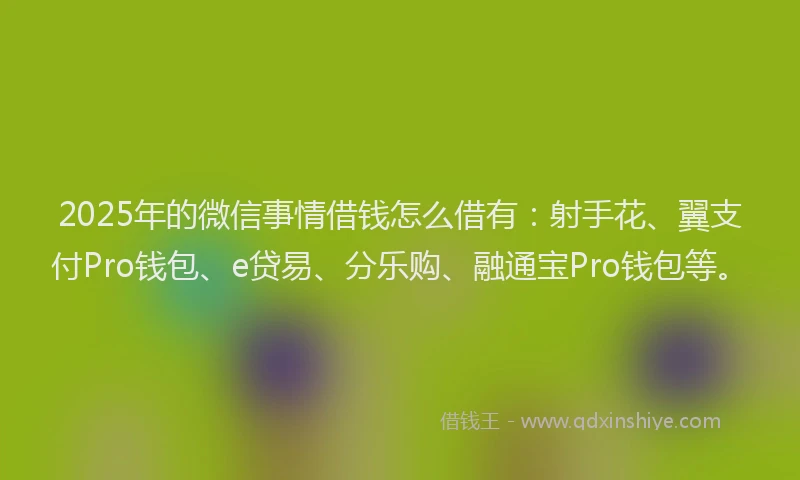 2025年的微信事情借钱怎么借有：射手花、翼支付Pro钱包、e贷易、分乐购、融通宝Pro钱包等。