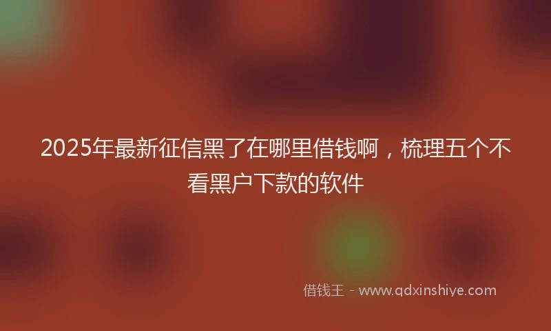 2025年最新征信黑了在哪里借钱啊，梳理五个不看黑户下款的软件