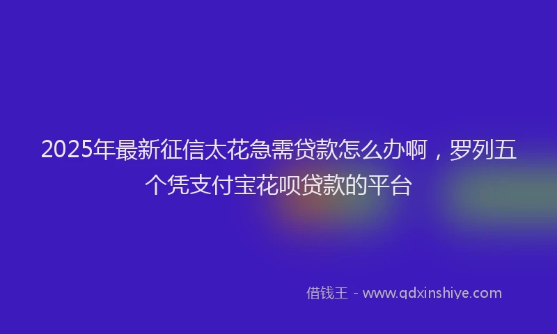 2025年最新征信太花急需贷款怎么办啊，罗列五个凭支付宝花呗贷款的平台