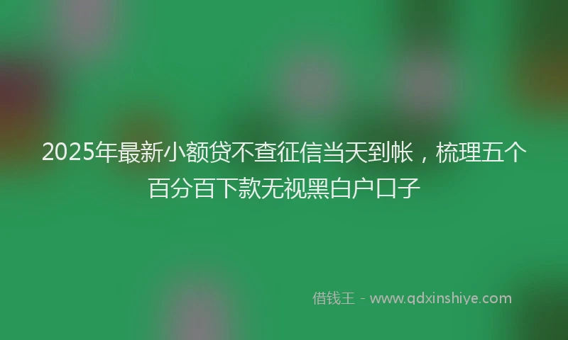 2025年最新小额贷不查征信当天到帐，梳理五个百分百下款无视黑白户口子