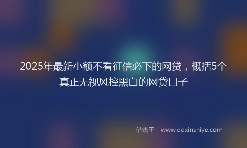 2025年最新小额不看征信必下的网贷，概括5个真正无视风控黑白的网贷口子