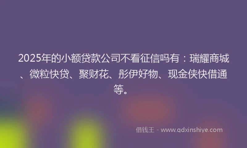 2025年的小额贷款公司不看征信吗有：瑞耀商城、微粒快贷、聚财花、彤伊好物、现金侠快借通等。