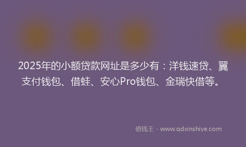 2025年的小额贷款网址是多少有：洋钱速贷、翼支付钱包、借蛙、安心Pro钱包、金瑞快借等。