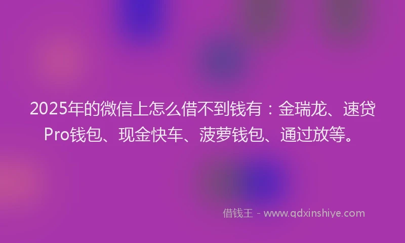 2025年的微信上怎么借不到钱有：金瑞龙、速贷Pro钱包、现金快车、菠萝钱包、通过放等。