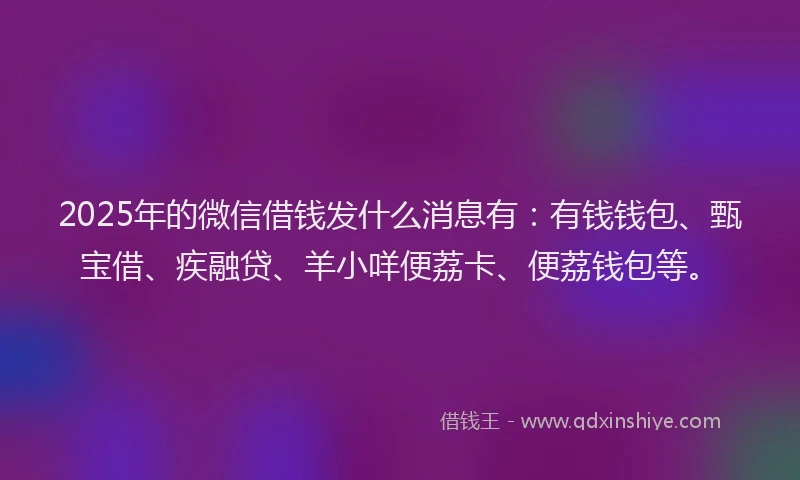2025年的微信借钱发什么消息有：有钱钱包、甄宝借、疾融贷、羊小咩便荔卡、便荔钱包等。