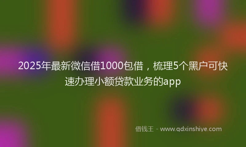 2025年最新微信借1000包借，梳理5个黑户可快速办理小额贷款业务的app