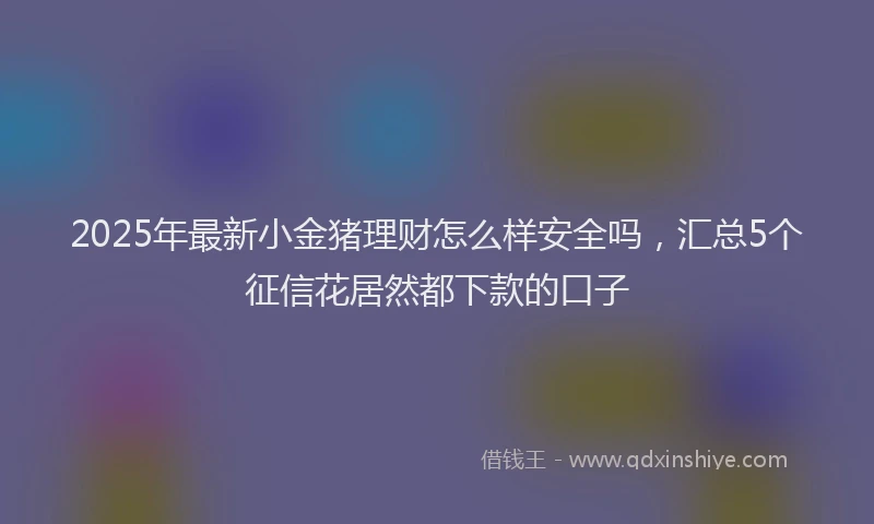 2025年最新小金猪理财怎么样安全吗，汇总5个征信花居然都下款的口子