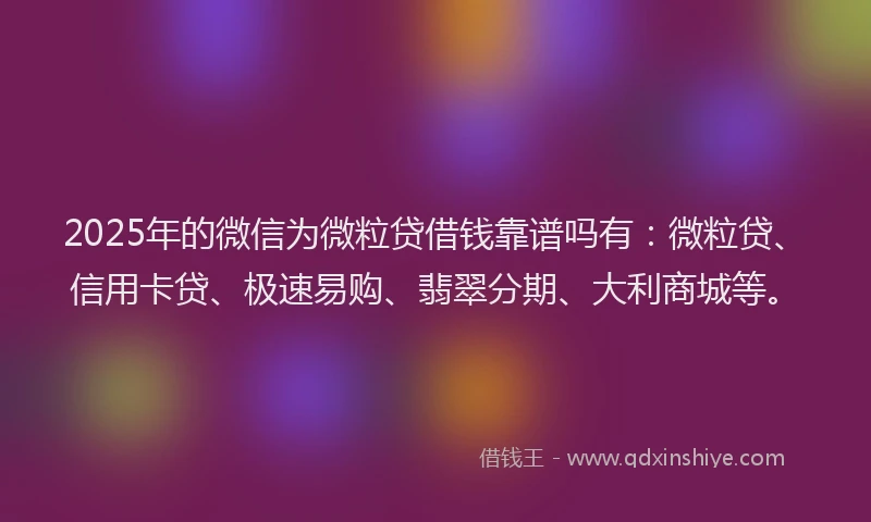 2025年的微信为微粒贷借钱靠谱吗有：微粒贷、信用卡贷、极速易购、翡翠分期、大利商城等。