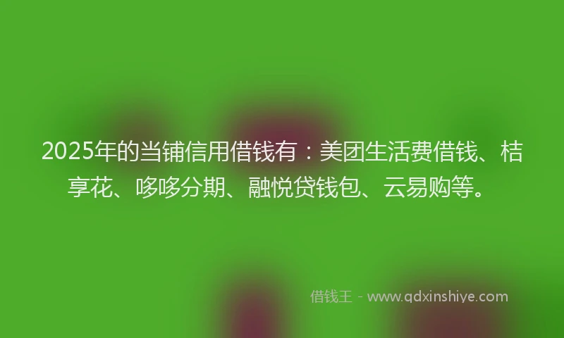 2025年的当铺信用借钱有：美团生活费借钱、桔享花、哆哆分期、融悦贷钱包、云易购等。