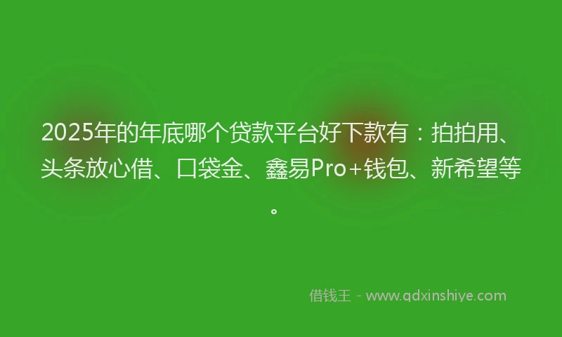 2025年的年底哪个贷款平台好下款有：拍拍用、头条放心借、口袋金、鑫易Pro+钱包、新希望等。