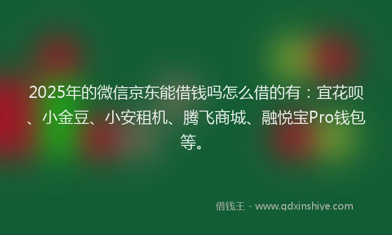 2025年的微信京东能借钱吗怎么借的有：宜花呗、小金豆、小安租机、腾飞商城、融悦宝Pro钱包等。
