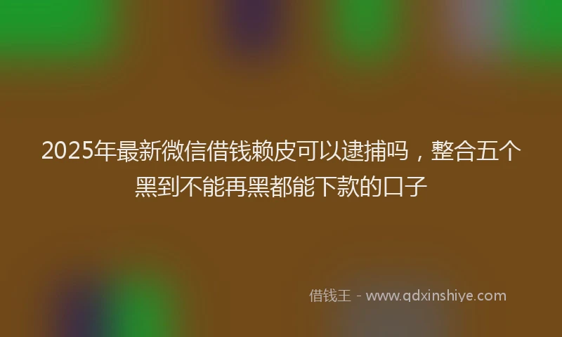 2025年最新微信借钱赖皮可以逮捕吗，整合五个黑到不能再黑都能下款的口子