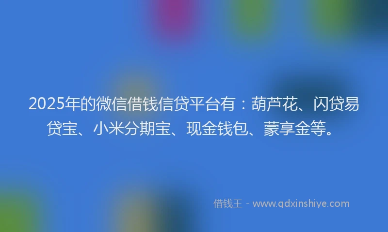 2025年的微信借钱信贷平台有：葫芦花、闪贷易贷宝、小米分期宝、现金钱包、蒙享金等。