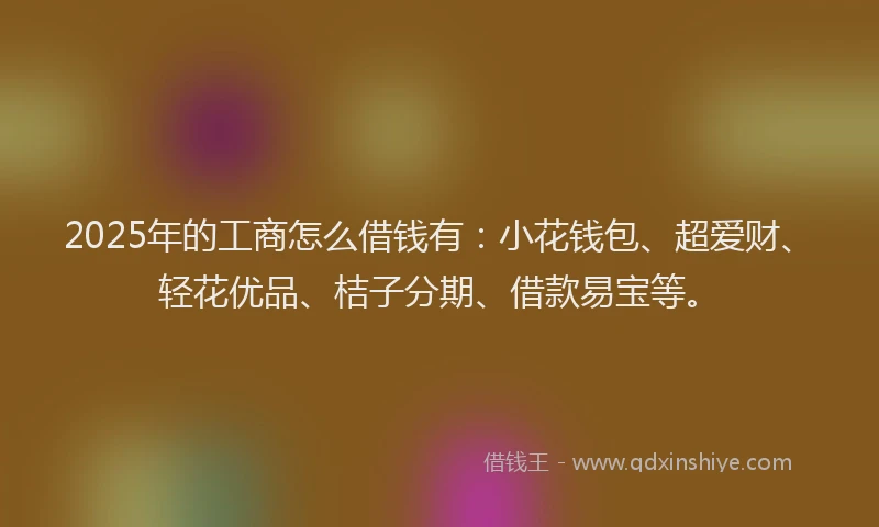 2025年的工商怎么借钱有：小花钱包、超爱财、轻花优品、桔子分期、借款易宝等。