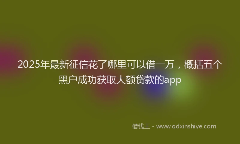2025年最新征信花了哪里可以借一万，概括五个黑户成功获取大额贷款的app