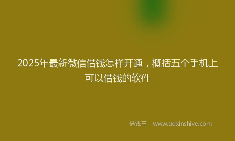 2025年最新微信借钱怎样开通，概括五个手机上可以借钱的软件