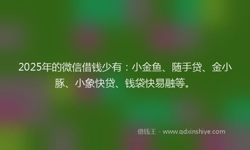 2025年的微信借钱少有：小金鱼、随手贷、金小豚、小象快贷、钱袋快易融等。