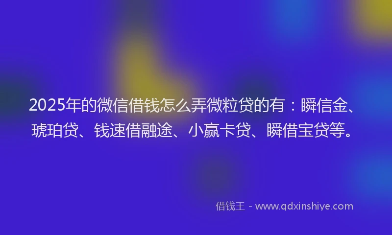 2025年的微信借钱怎么弄微粒贷的有：瞬信金、琥珀贷、钱速借融途、小赢卡贷、瞬借宝贷等。