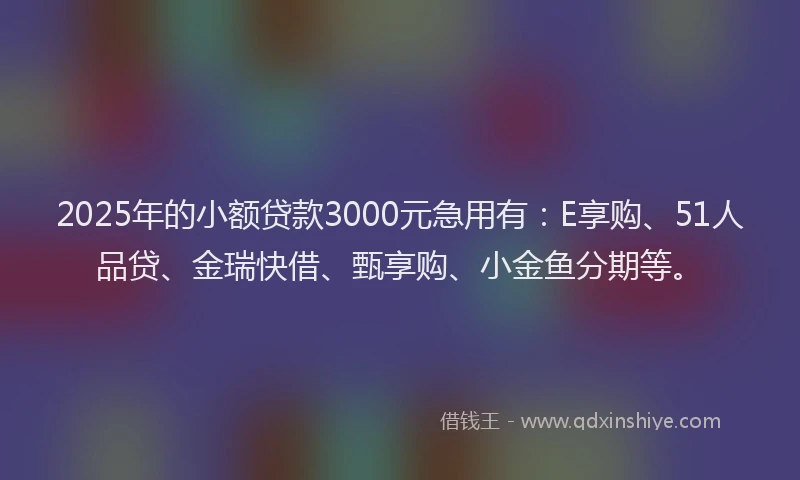 2025年的小额贷款3000元急用有：E享购、51人品贷、金瑞快借、甄享购、小金鱼分期等。