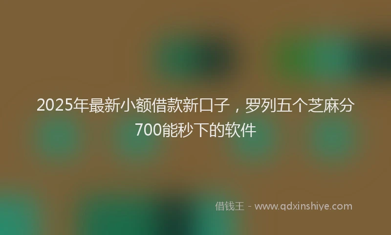 2025年最新小额借款新口子，罗列五个芝麻分700能秒下的软件