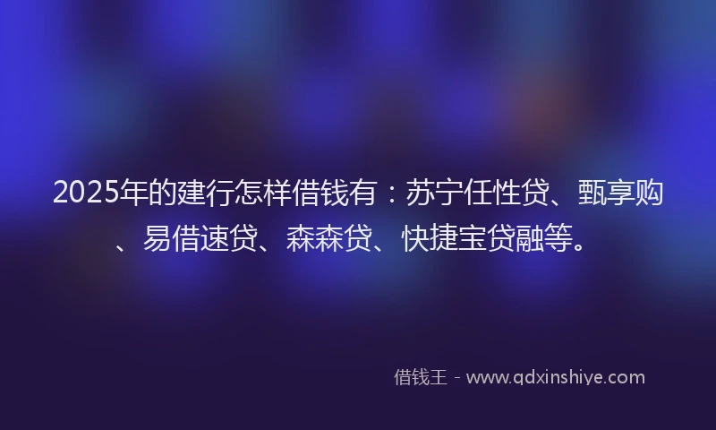 2025年的建行怎样借钱有：苏宁任性贷、甄享购、易借速贷、森森贷、快捷宝贷融等。