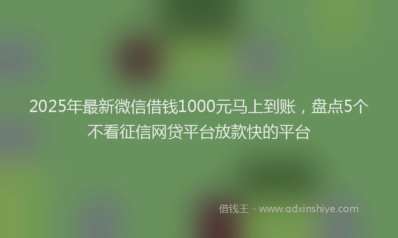 2025年最新微信借钱1000元马上到账，盘点5个不看征信网贷平台放款快的平台