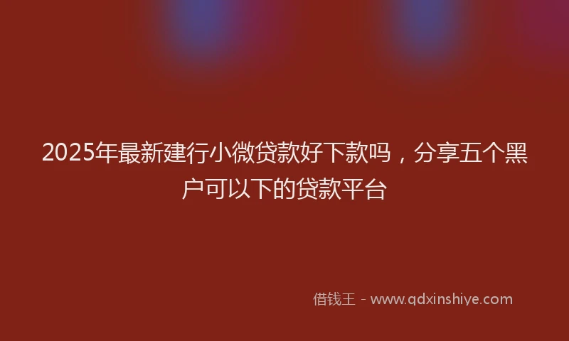 2025年最新建行小微贷款好下款吗，分享五个黑户可以下的贷款平台