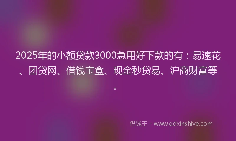 2025年的小额贷款3000急用好下款的有：易速花、团贷网、借钱宝盒、现金秒贷易、沪商财富等。