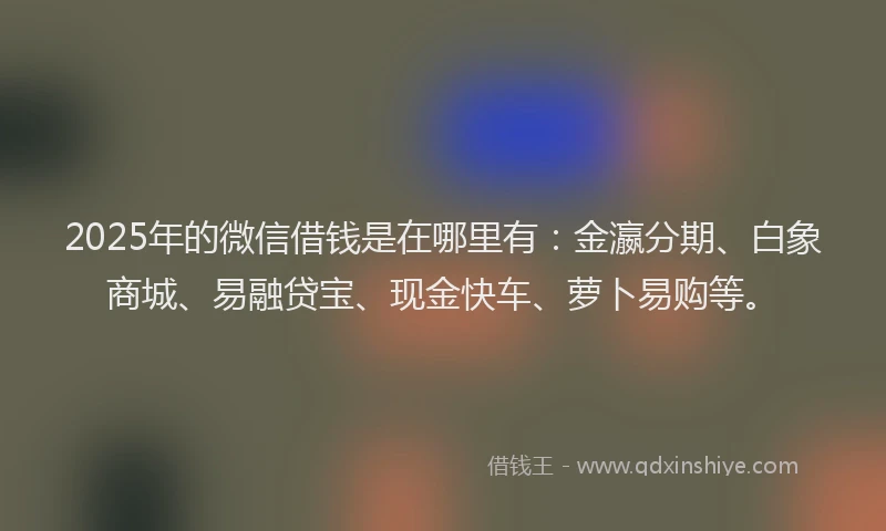 2025年的微信借钱是在哪里有：金瀛分期、白象商城、易融贷宝、现金快车、萝卜易购等。